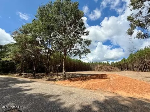 Military Road, Sandy Hook, MS 39478 photo 2