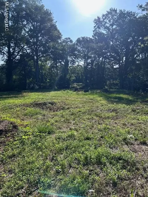 4528 Hanging Moss Rd, Jackson, MS 39206