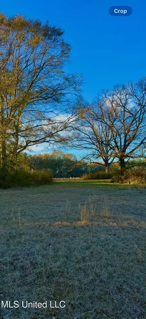 7148 Osyka Progress Rd, Magnolia, MS 39652