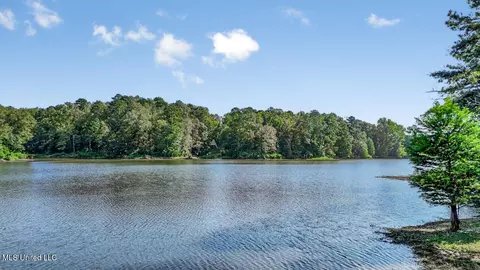87 Black Bear Rd, Natchez, MS 39120 photo 7