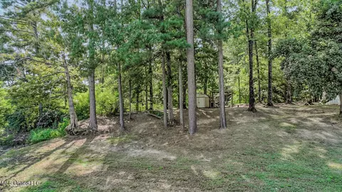 87 Black Bear Rd, Natchez, MS 39120 photo 11