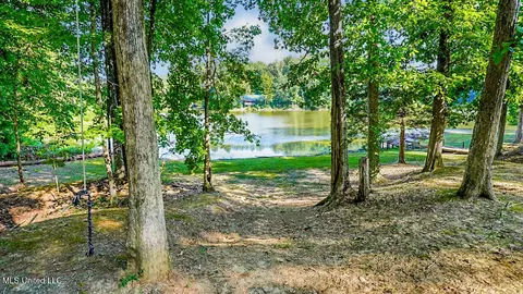 87 Black Bear Rd, Natchez, MS 39120 photo 16