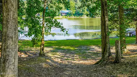 87 Black Bear Rd, Natchez, MS 39120 photo 15