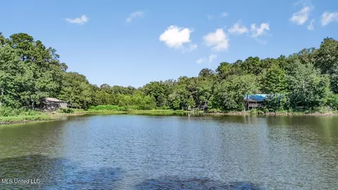87 Black Bear Rd, Natchez, MS 39120 photo 8