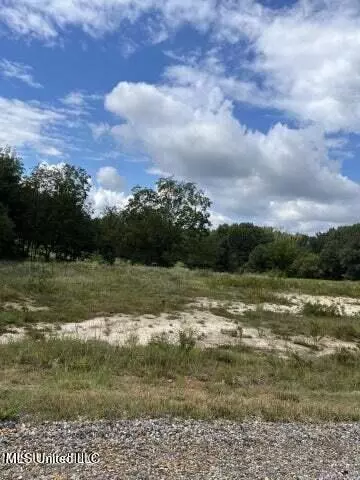 Ranch Road, Hernando, MS 38632 photo 2