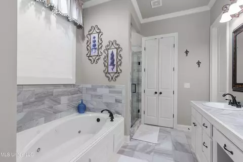 102 Blackberry Patch, Madison, MS 39110 photo 28