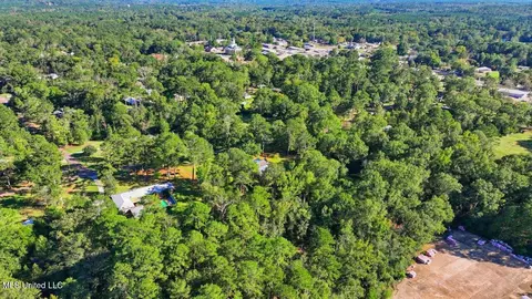 View/Area - 602 Circle Dr, Mendenhall, MS 39114 photo 8 of 13