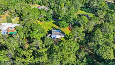 View/Area - 602 Circle Dr, Mendenhall, MS 39114 photo 10 of 13