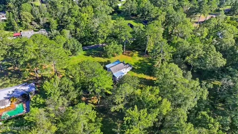 View/Area - 602 Circle Dr, Mendenhall, MS 39114 photo 9 of 13