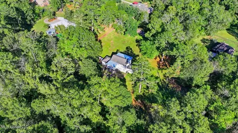 View/Area - 602 Circle Dr, Mendenhall, MS 39114 photo 11 of 13