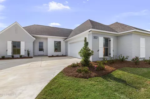 Other - 522 Baleigh Way, Canton, MS 39046 photo 1 of 5