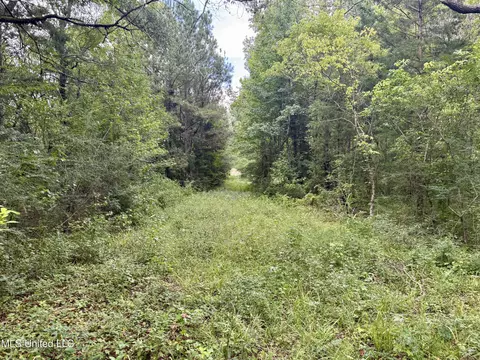 1462 Hickory Ln, Terry, MS 39170 photo 11