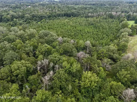 1462 Hickory Ln, Terry, MS 39170 photo 12