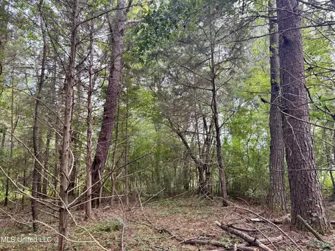 1462 Hickory Ln, Terry, MS 39170 photo 10