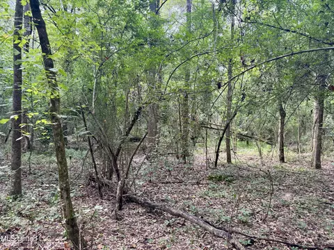 1462 Hickory Ln, Terry, MS 39170 photo 16