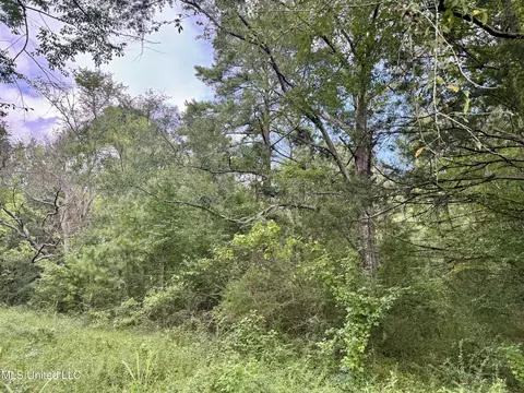 1462 Hickory Ln, Terry, MS 39170 photo 13