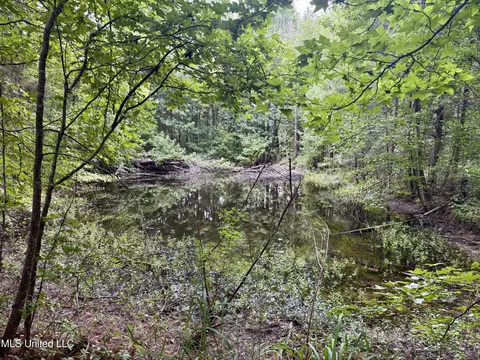 1462 Hickory Ln, Terry, MS 39170 photo 9