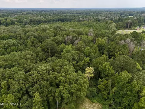 1462 Hickory Ln, Terry, MS 39170 photo 8