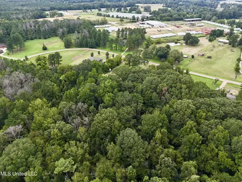 1462 Hickory Ln, Terry, MS 39170 photo 15