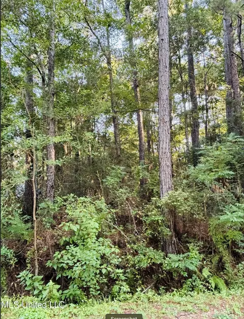 Stockton Circle, Gautier, MS 39553