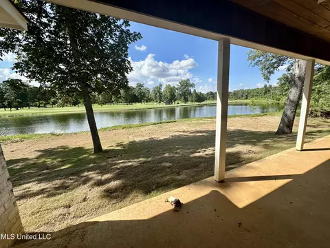414 Audubon Woods, Canton, MS 39046 photo 8