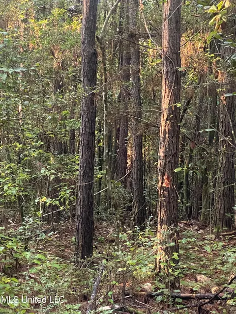 1 Kirby Creek Rd, Wiggins, MS 39577