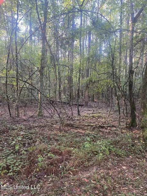 101 Kirby Creek Rd, Wiggins, MS 39577