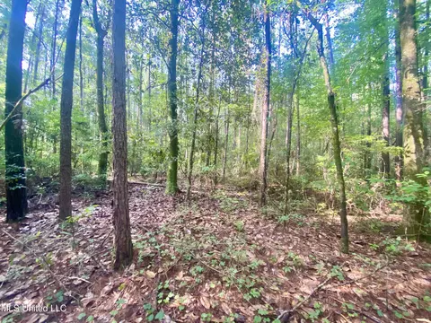 102 Kirby Creek Rd, Wiggins, MS 39577