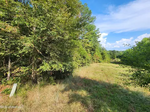 Krotzer Road, Sardis, MS 38666 photo 5