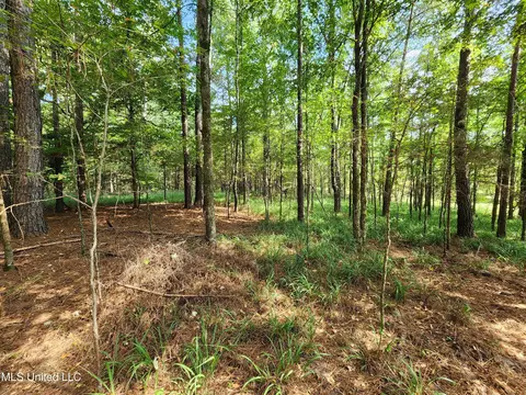 Krotzer Road, Sardis, MS 38666 photo 8