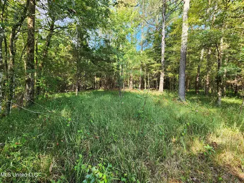 Krotzer Road, Sardis, MS 38666 photo 14