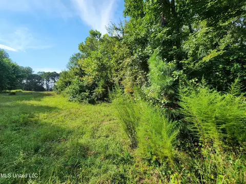 Krotzer Road, Sardis, MS 38666 photo 6
