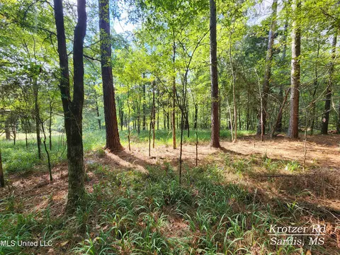 Krotzer Road, Sardis, MS 38666