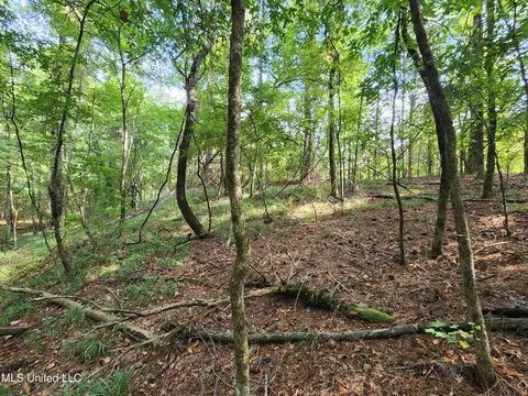 Krotzer Road, Sardis, MS 38666 photo 9