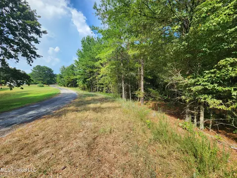 Krotzer Road, Sardis, MS 38666 photo 4