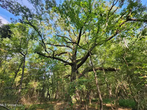 Krotzer Road, Sardis, MS 38666 photo 12