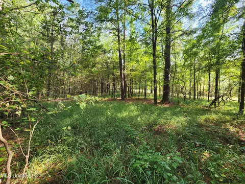 Krotzer Road, Sardis, MS 38666 photo 13