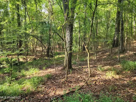 Krotzer Road, Sardis, MS 38666 photo 11