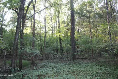 1800 Union Valley Rd, Byhalia, MS 38611