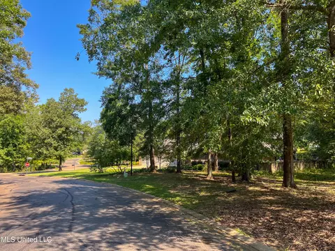 Cottesbrooke Circle, Madison, MS 39110 photo 9