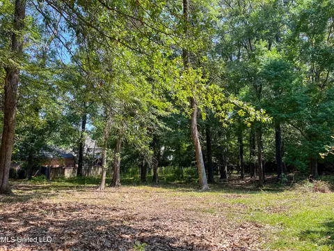 Cottesbrooke Circle, Madison, MS 39110 photo 22