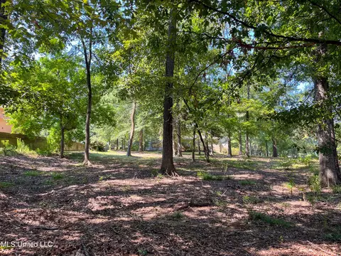 Cottesbrooke Circle, Madison, MS 39110 photo 11