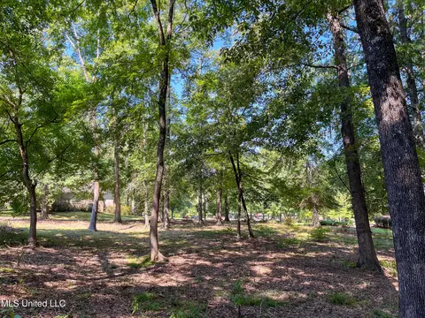 Cottesbrooke Circle, Madison, MS 39110 photo 23
