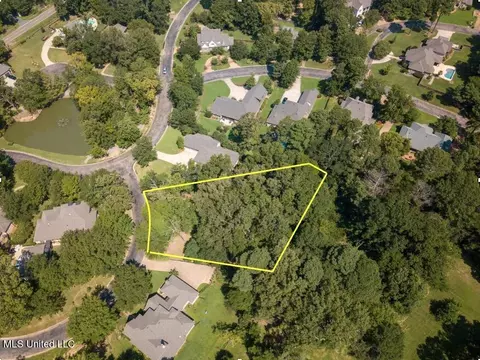 Cottesbrooke Circle, Madison, MS 39110 photo 10