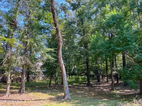 Cottesbrooke Circle, Madison, MS 39110 photo 15