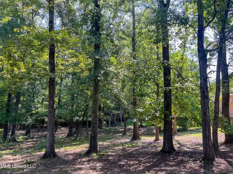 Cottesbrooke Circle, Madison, MS 39110 photo 2