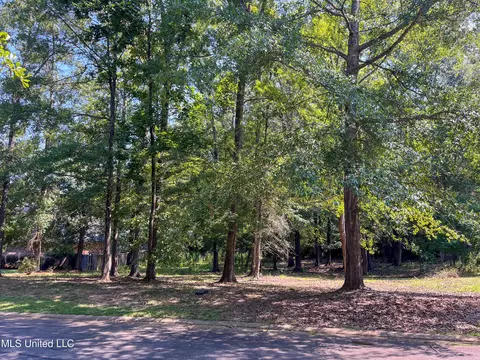 Cottesbrooke Circle, Madison, MS 39110 photo 7