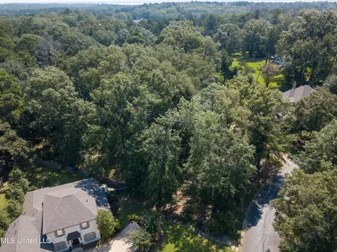 Cottesbrooke Circle, Madison, MS 39110 photo 16