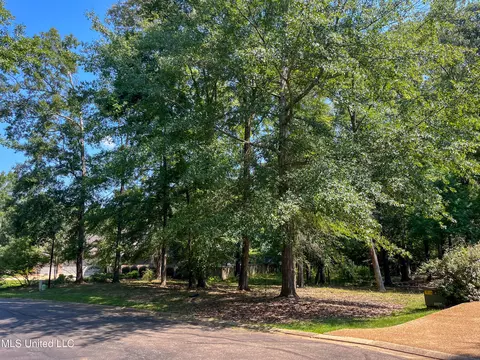 Cottesbrooke Circle, Madison, MS 39110 photo 18