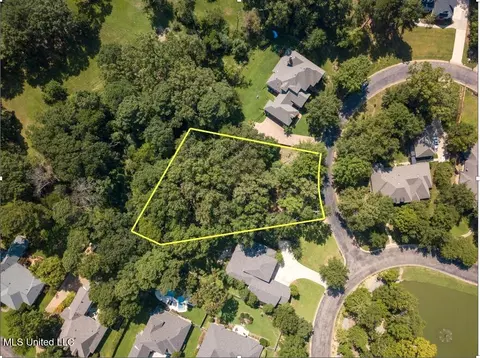 Cottesbrooke Circle, Madison, MS 39110 photo 3